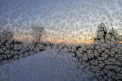 WhatsApp-Image-2026-01-22-at-10.34.18