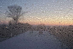 WhatsApp-Image-2026-01-22-at-10.34.18dddd